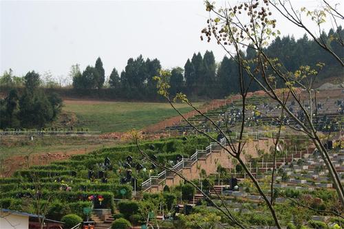 广元陵园公墓多少钱「金土地殡葬礼仪服务供应」